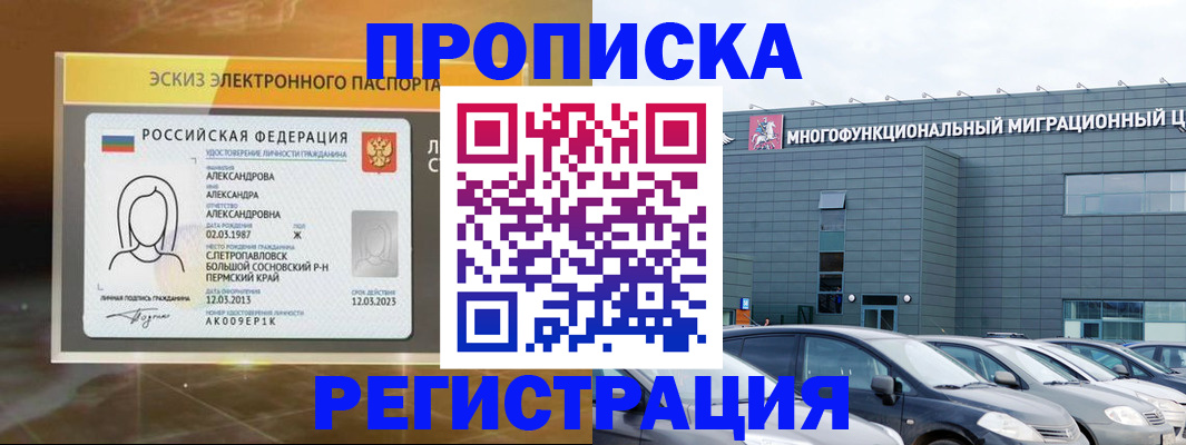 прописка гарантия в Шали