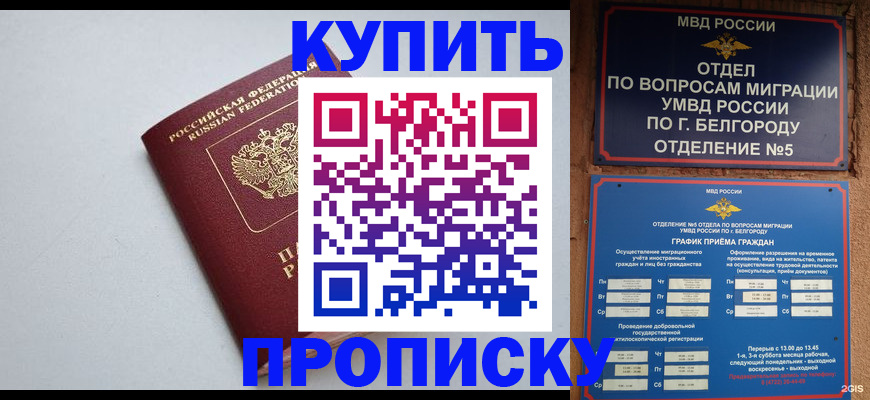 прописка регистрация в Шали
